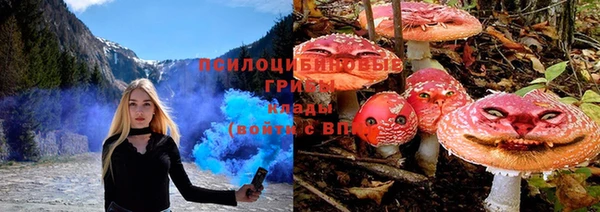 тгк Аркадак