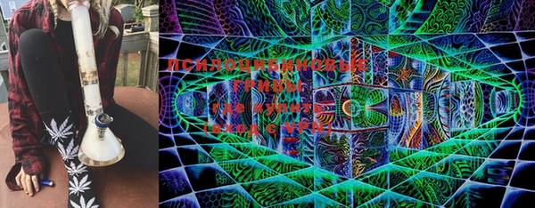 тгк Аркадак